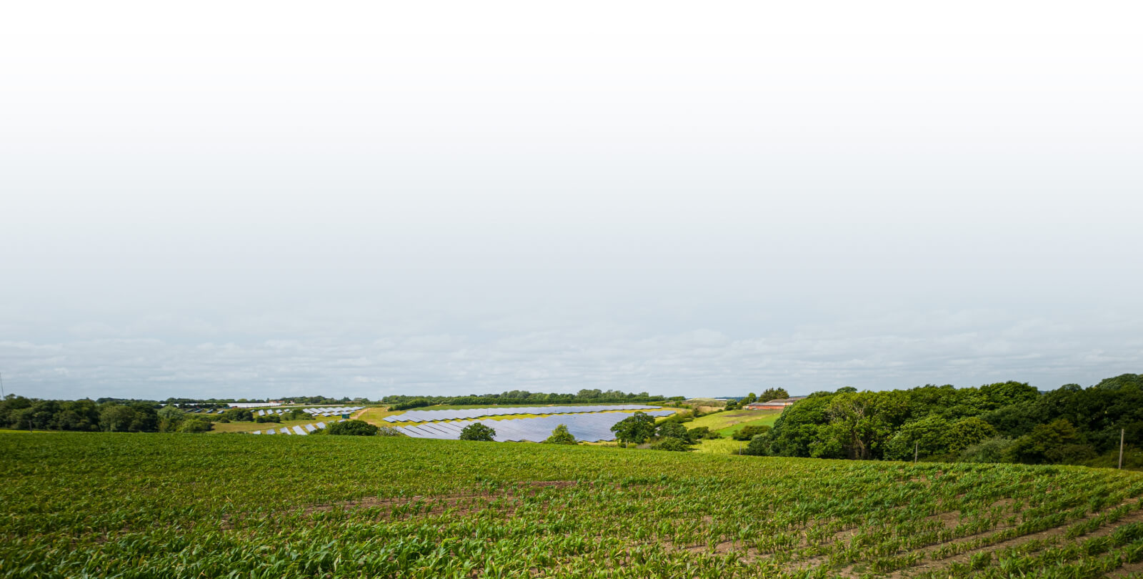 Home page - Clearstone Energy